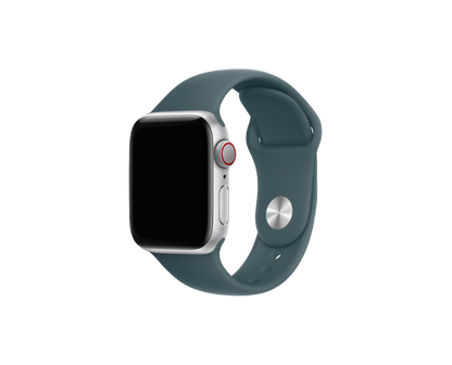 Watch Series 10 Smartwatch 46mm GPS + Cellular Smartwatch  | Titanium Case | OLED Always-On Retina display | 1-Year Warranty | Easy 15-Day Returns | Earbuds pro 2 & Magsafe (Free Gift)APPLE